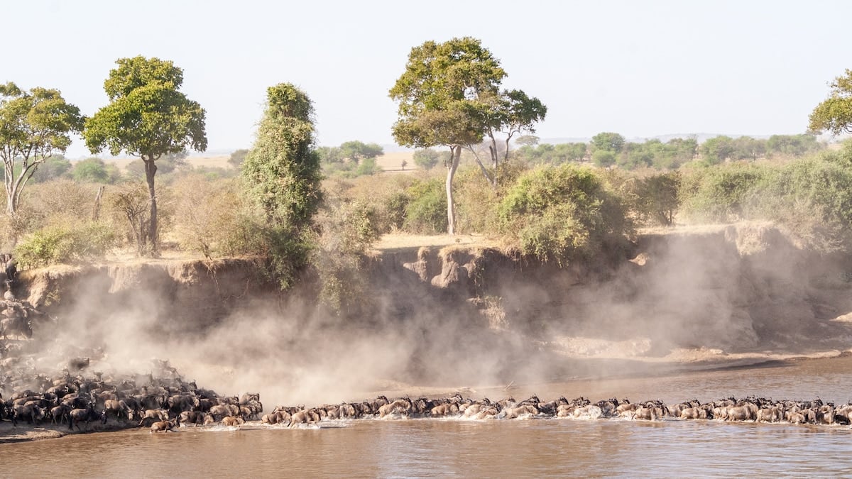 El río que cruza la sabana: tres parques y un cráter para entender el norte de Tanzania