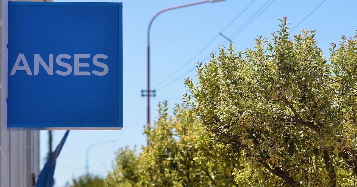 Calendario de pagos de ANSES para octubre: qué fecha les corresponde a los DNI terminados en 2
