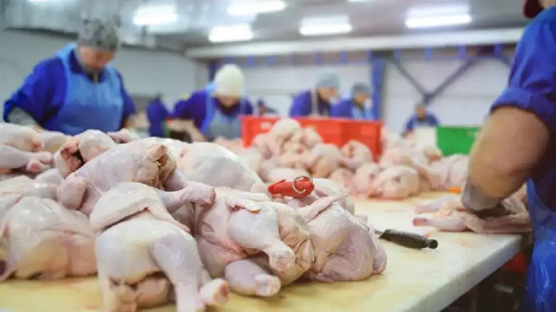 Por primera vez, el pollo lideró el consumo de carnes y desplazó a la vacuna en la mesa argentina
