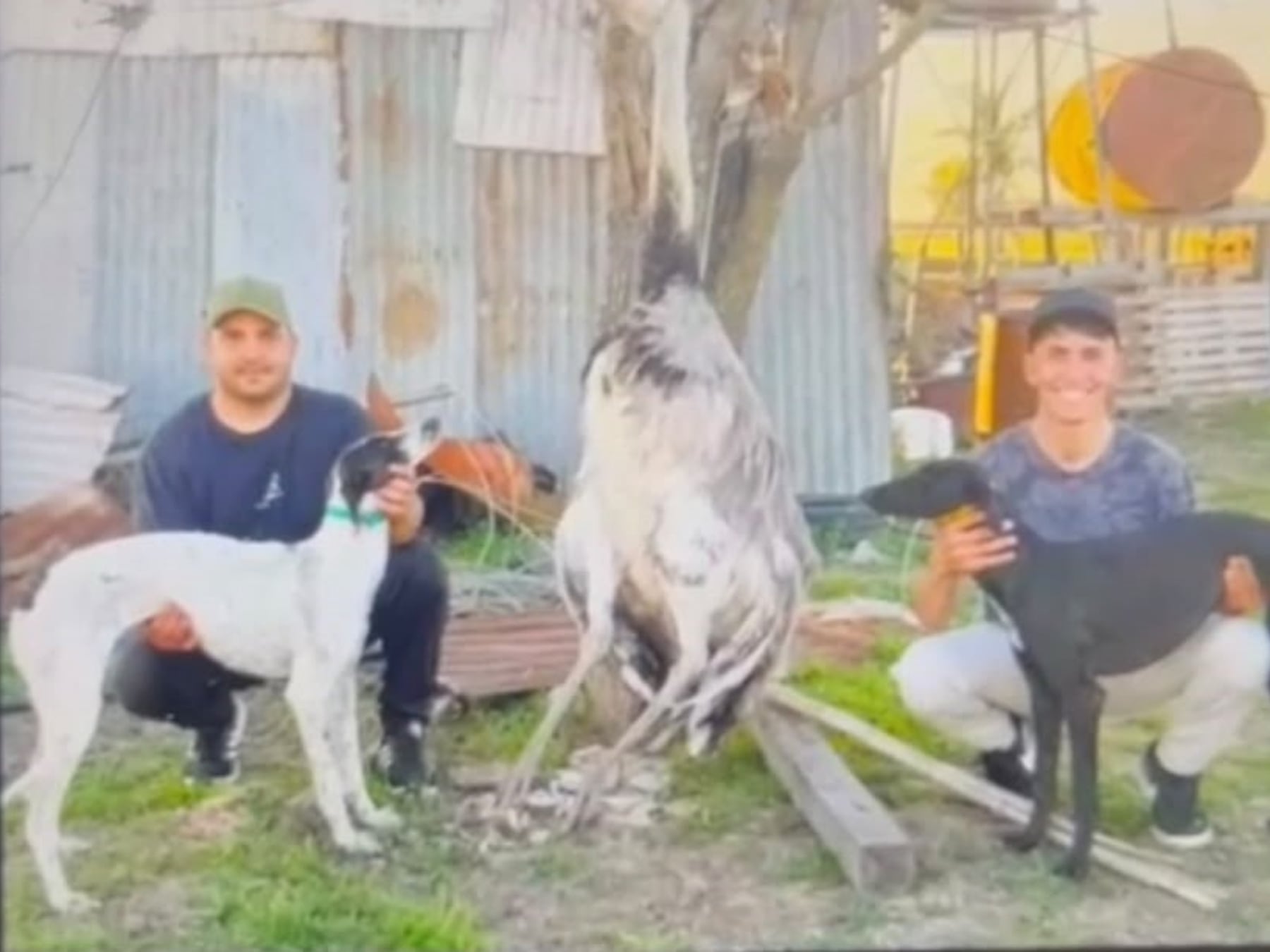 Imputan a dos hombres por la muerte de un ñandú en un campo de Pergamino y se reabre el debate sobre la caza furtiva