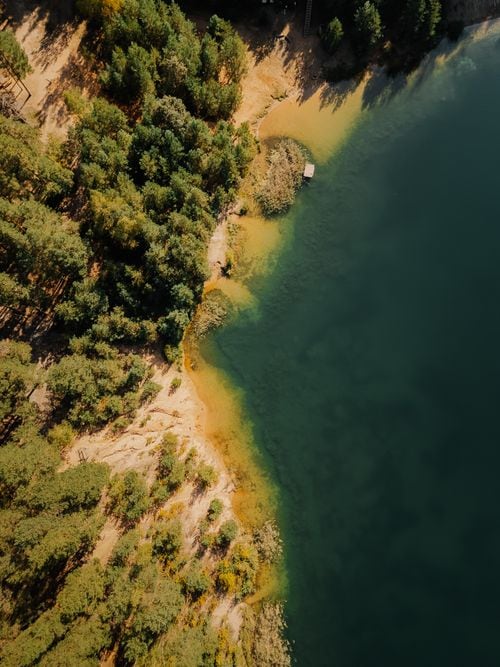 La isla donde el bosque todavía guarda la capilla que armaron los hacheros del lago Lácar