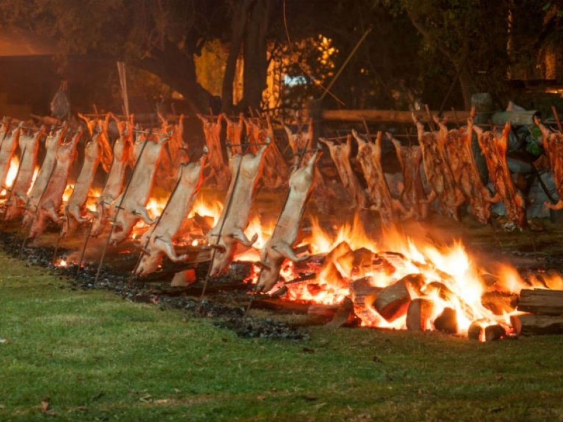 Mozzarella que viaja en tren, mate bajo la lluvia y un cordero al asador: la ruta del feriado largo