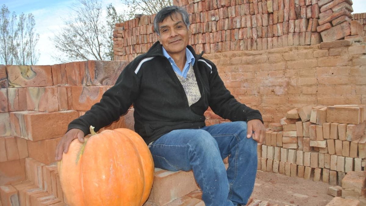 Mariano Moreno vuelve a sembrar zapallos: concurso, semillas gratis y el recuerdo de un Valle que supo dar frutos