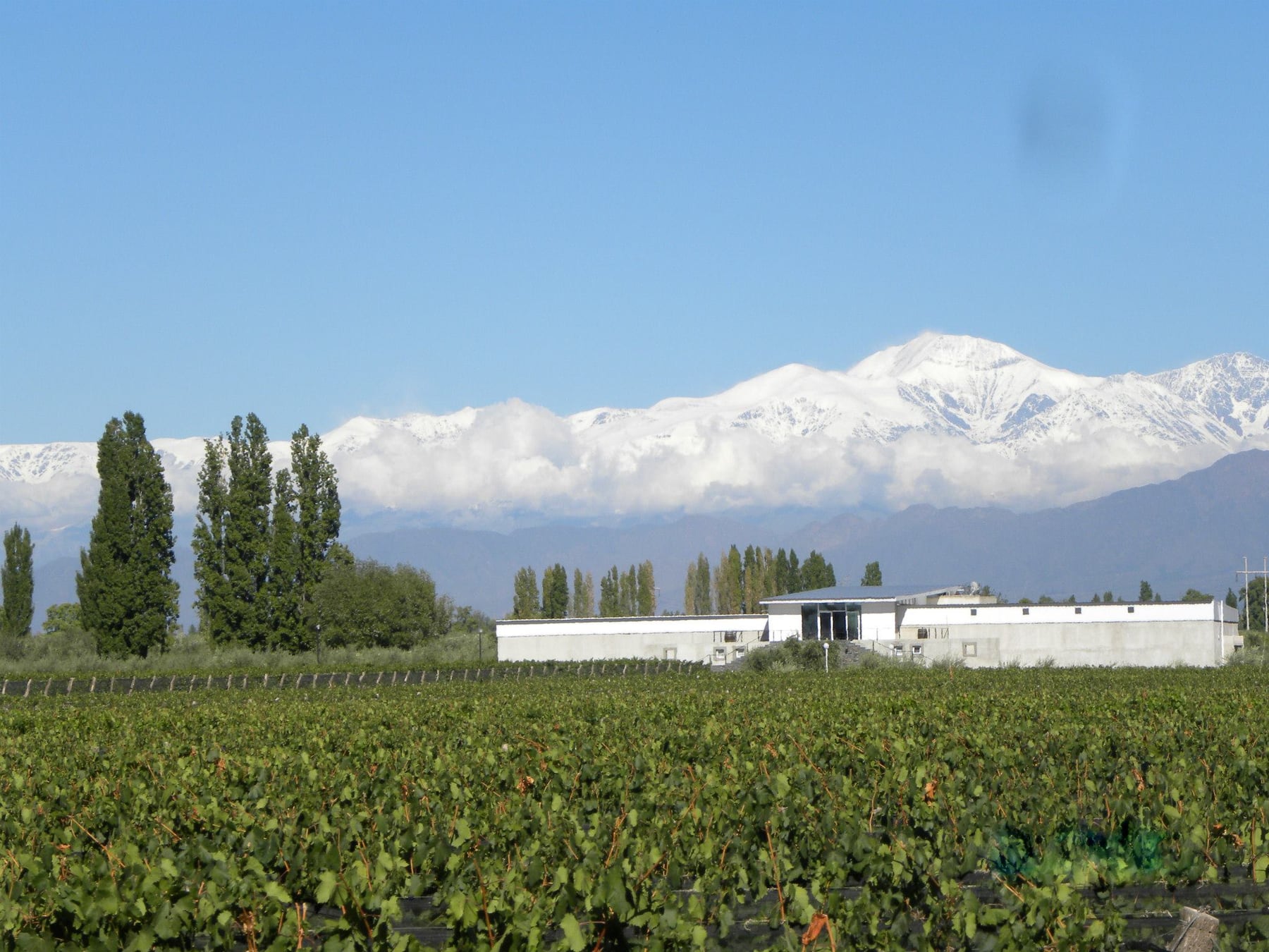 Chacras de Coria, el pueblo mendocino que se reinventó: bodegas, mesa de autor y la electrónica de Hernán Cattáneo como imán