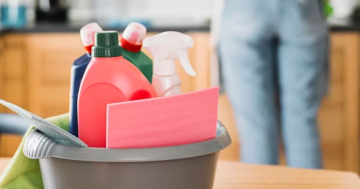 ARCA lanza un recibo de sueldo digital asistido para el personal de casas particulares y redefine la liquidación mensual del servicio doméstico
