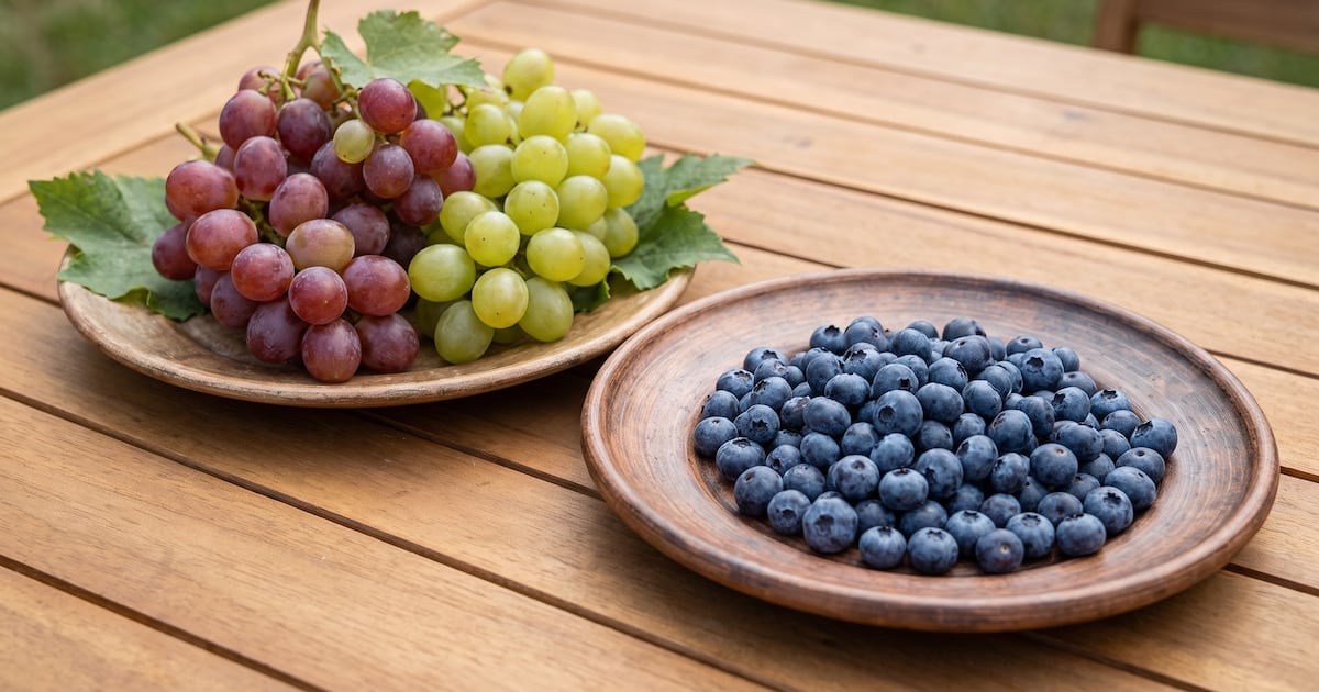 Arándanos o uvas: por qué una sube menos el azúcar que la otra y cómo conviene comerlas