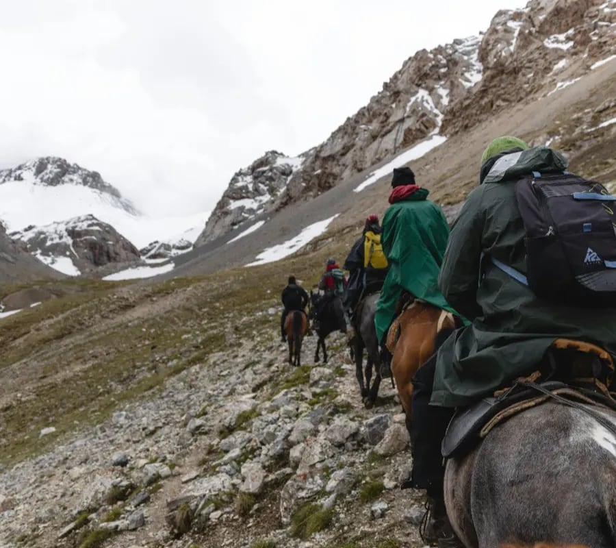 Cabalgatas con olor a pasto fresco: la propuesta de La Vega para conocer a los caballos antes de montar