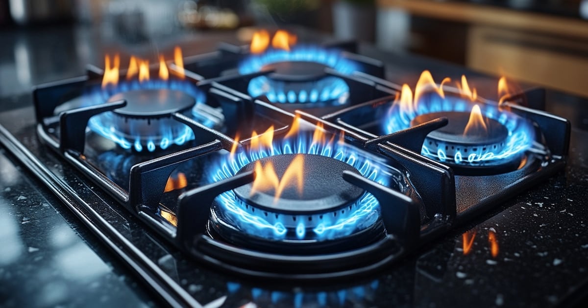 ElRegistro Nacional de Zonas Frías reduce el subsidio al gas en 3,35 millones de hogares